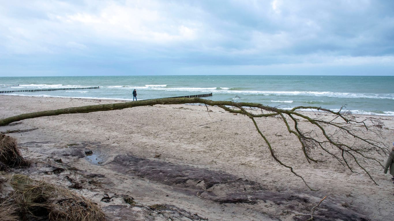 Ostseestrand bei Graal-Müritz (Archivbild): Eine leblose Frau wurde hier im Wasser gefunden.