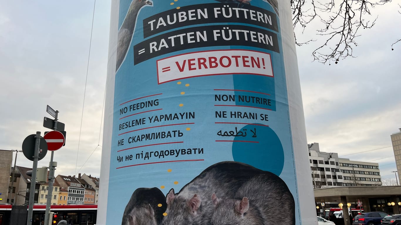 Mit diesen Plakaten warnt die Stadt davor, Tauben zu füttern: Von dem Futter ernähren sich nämlich auch Ratten.