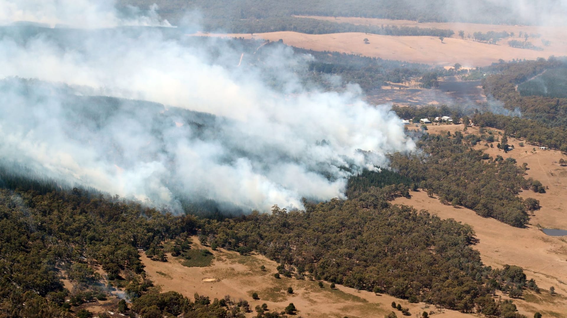 Buschbrände in Australien