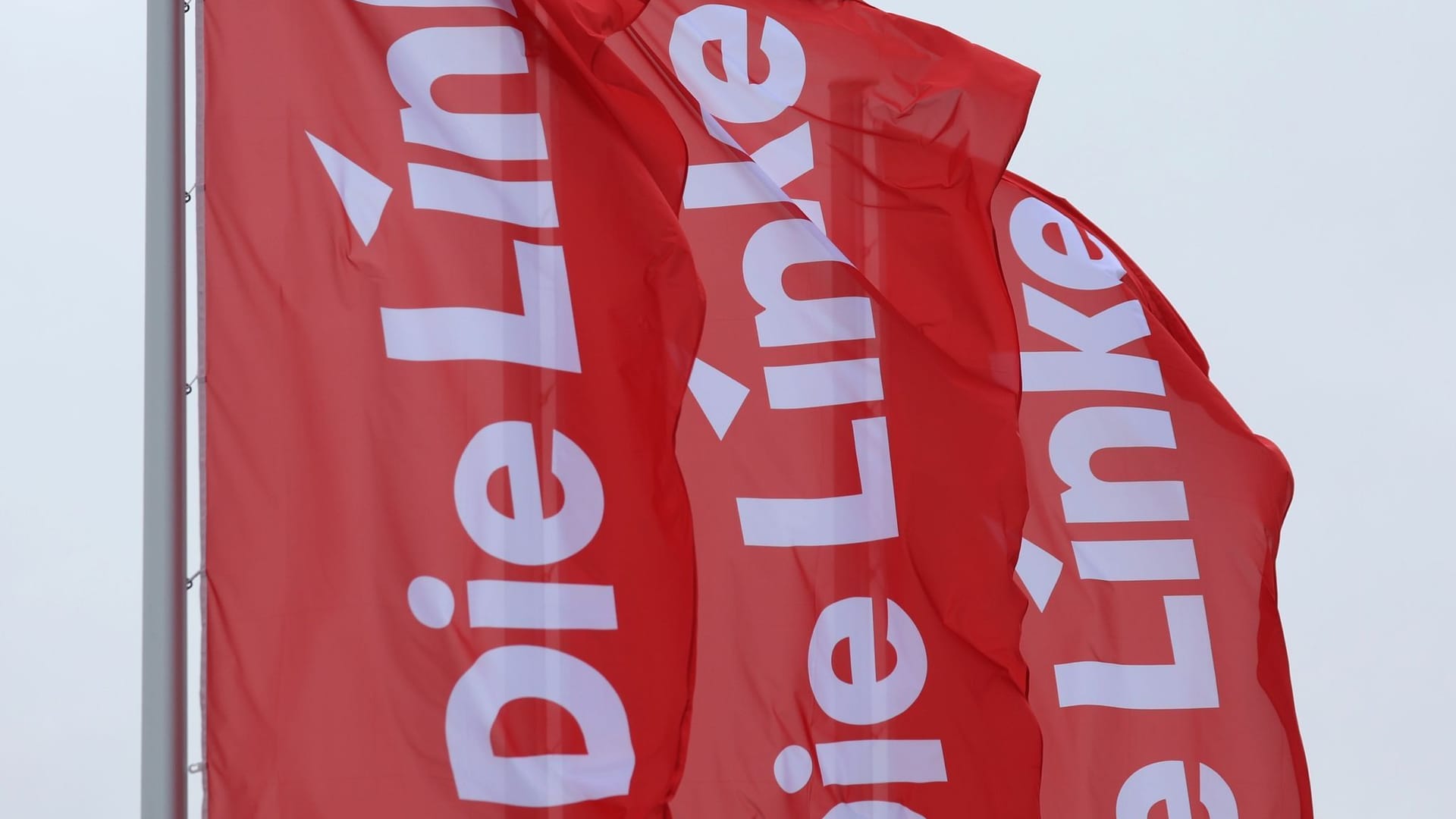 Die Linke Die Linke