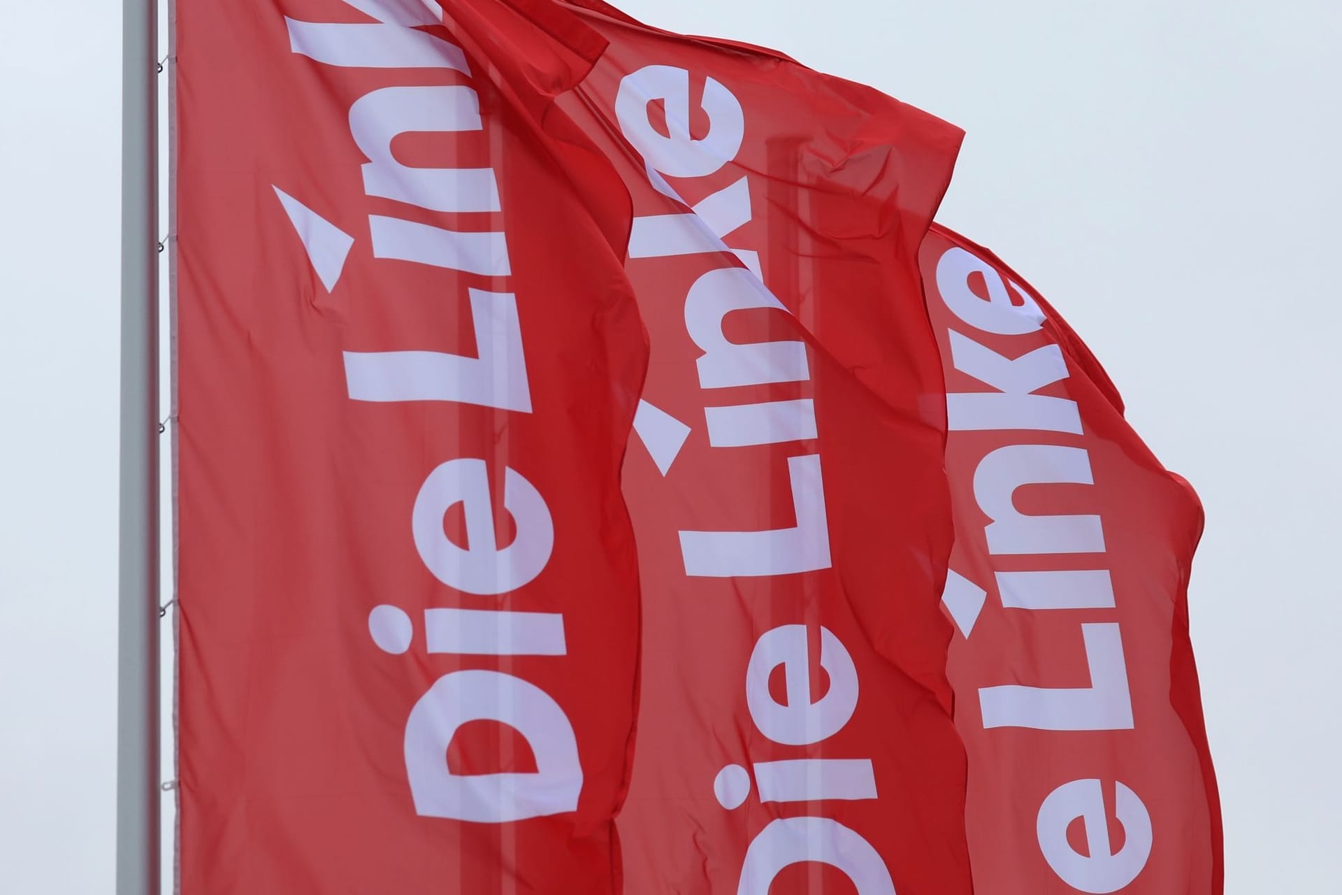 Die Linke