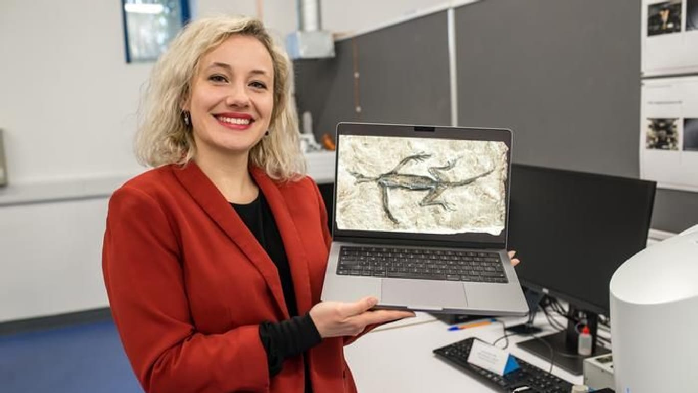 Valentina Rossi vom Naturmuseum Südtirol zeigt ein Bild des gefälschten Fossils.