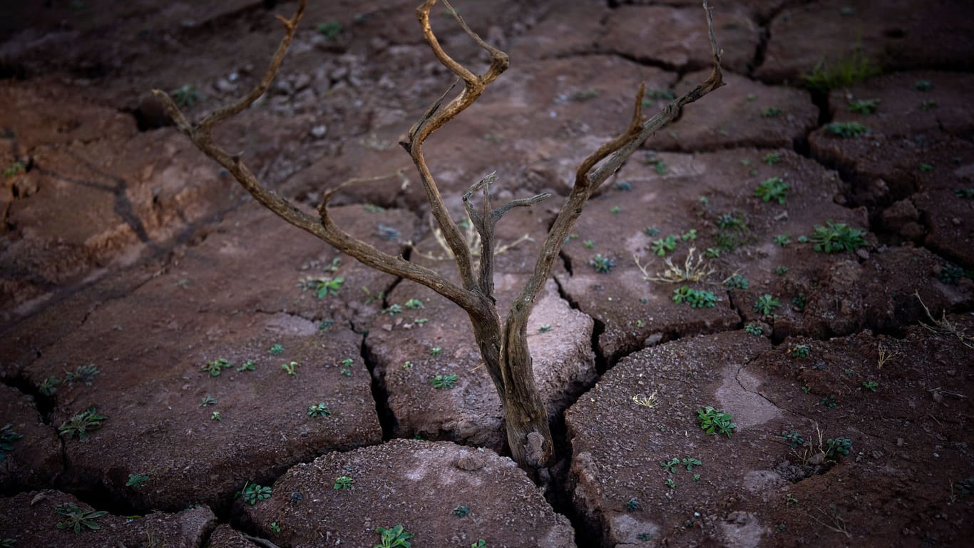 Spanien, Figueras (Archivbild): Die nordöstliche Region in Katalonien ist schwer von der Trockenheit betroffen.