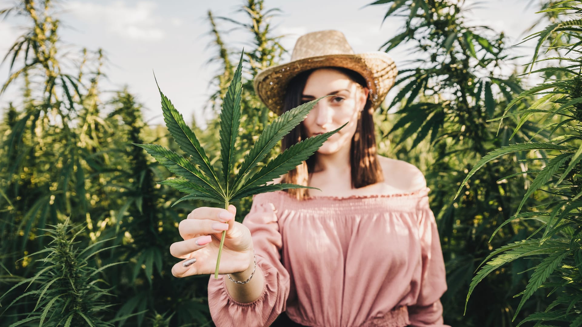 Junge Frau mit Marihuana-Pflanze (Archivbild): Zehn Prozent der Deutschen wollen den Heimanbau starten.