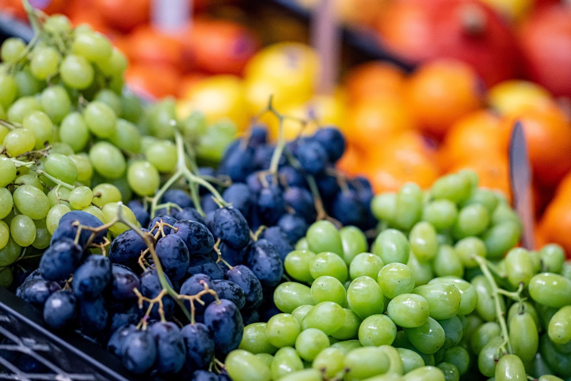 Messe Fruit Logistica beginnt