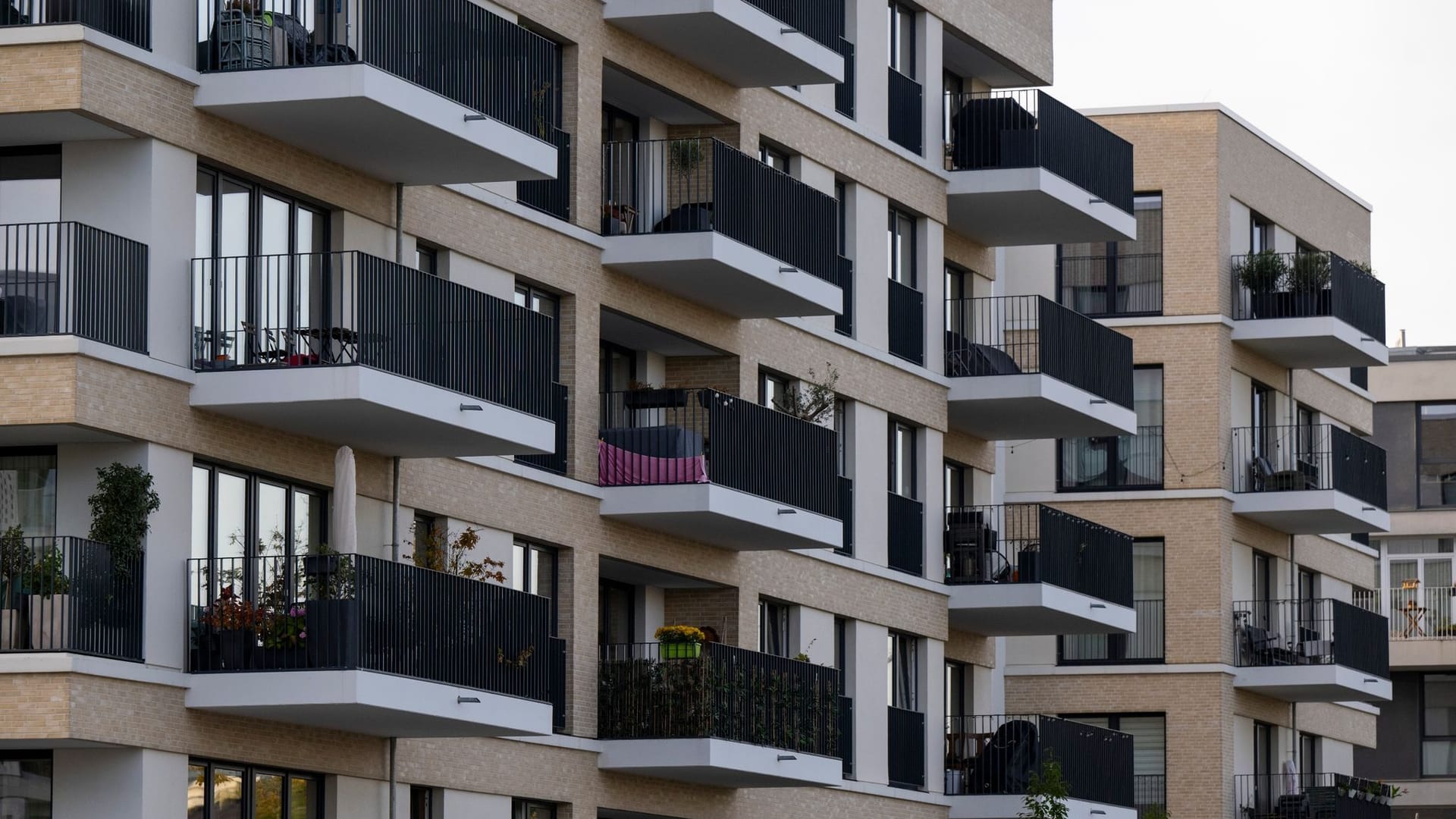 Immobilien Immobilien