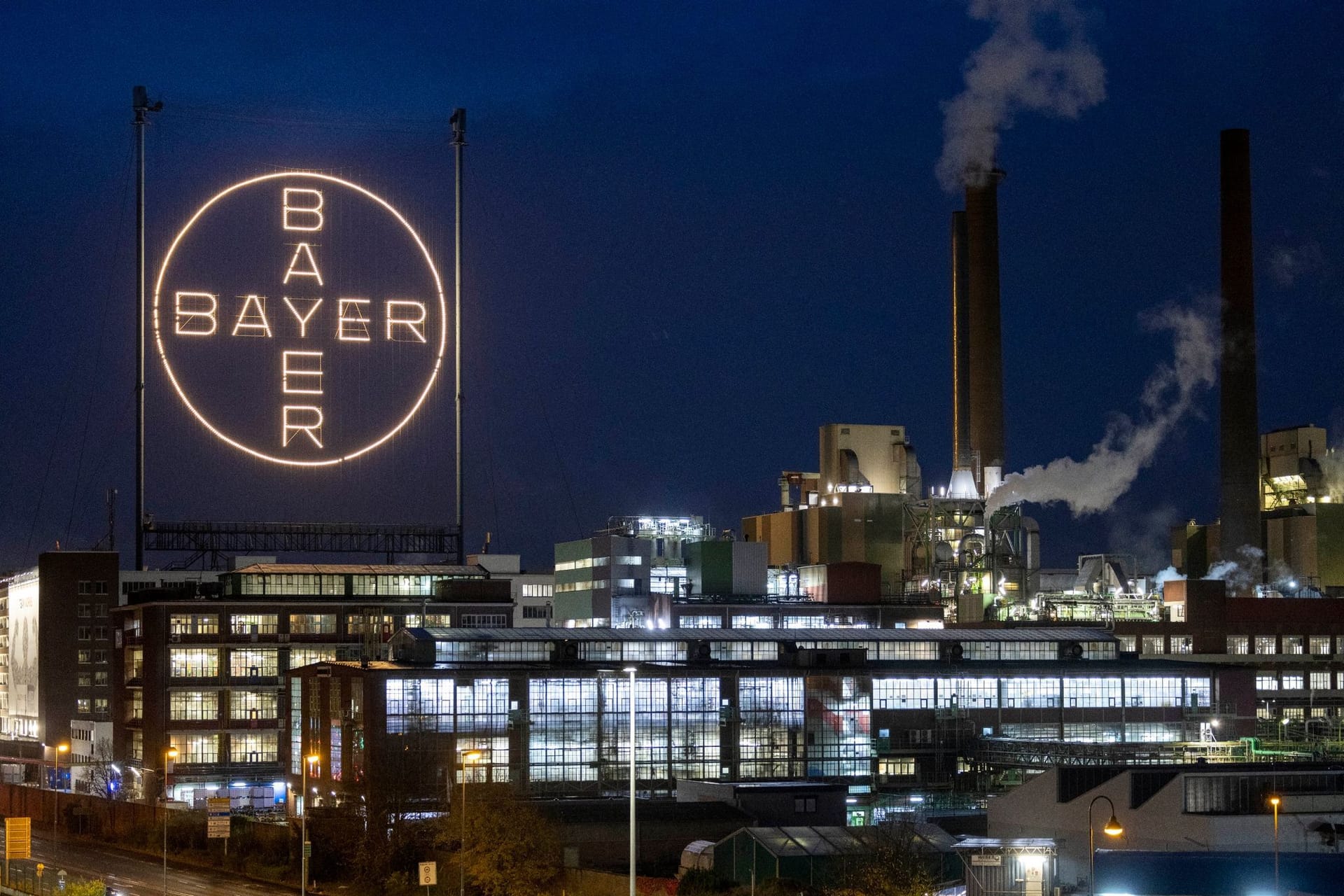 Bayer