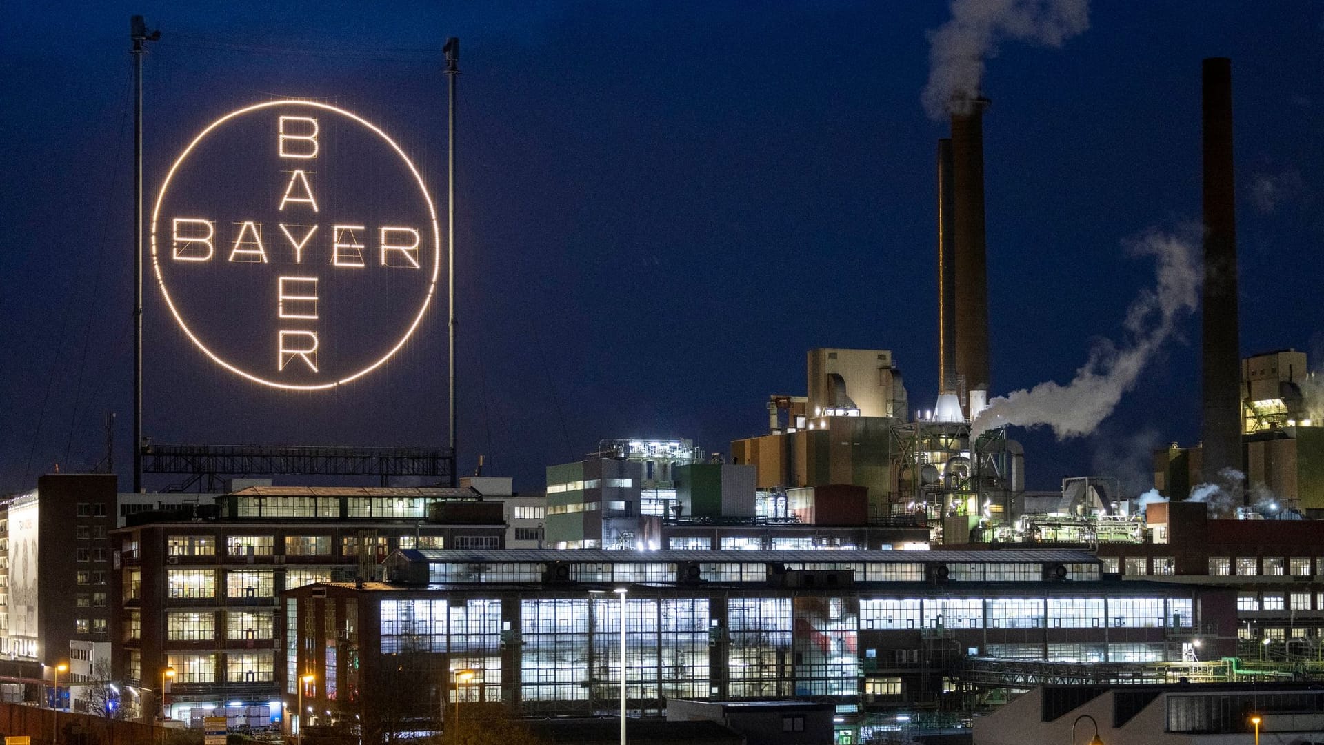 Bayer Bayer