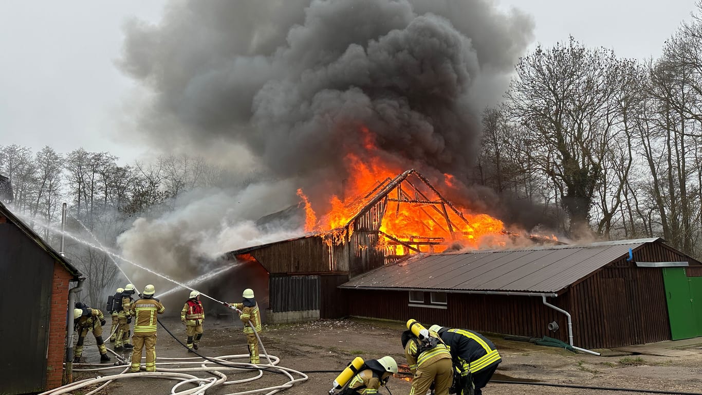 Meterhohe Flammen vernichteten neben zahlreichen Oldtimern auch Wohnmobile, die im Gebäude abgestellt waren.