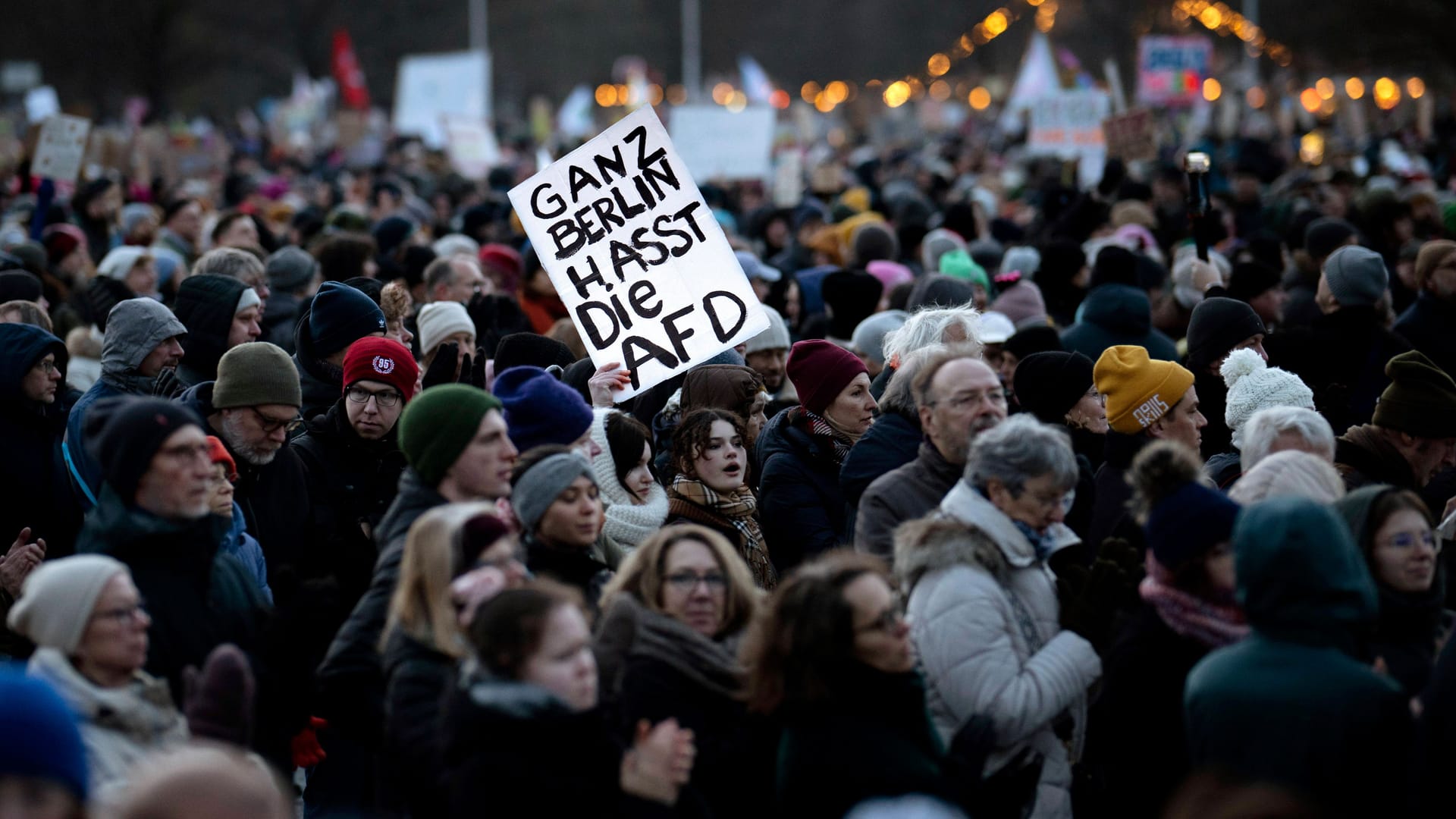 Demonstranten (Archivbild): Eine Frau hält ein Schild gegen die AfD hoch.