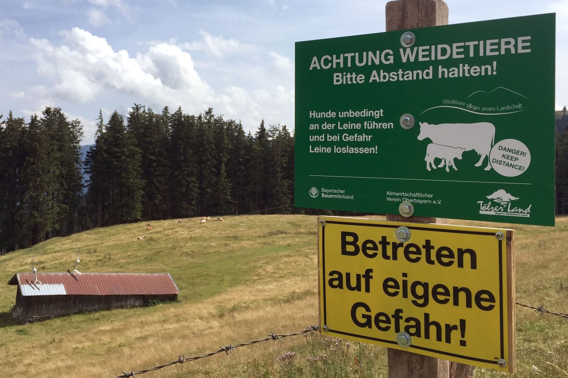 Kuhweide