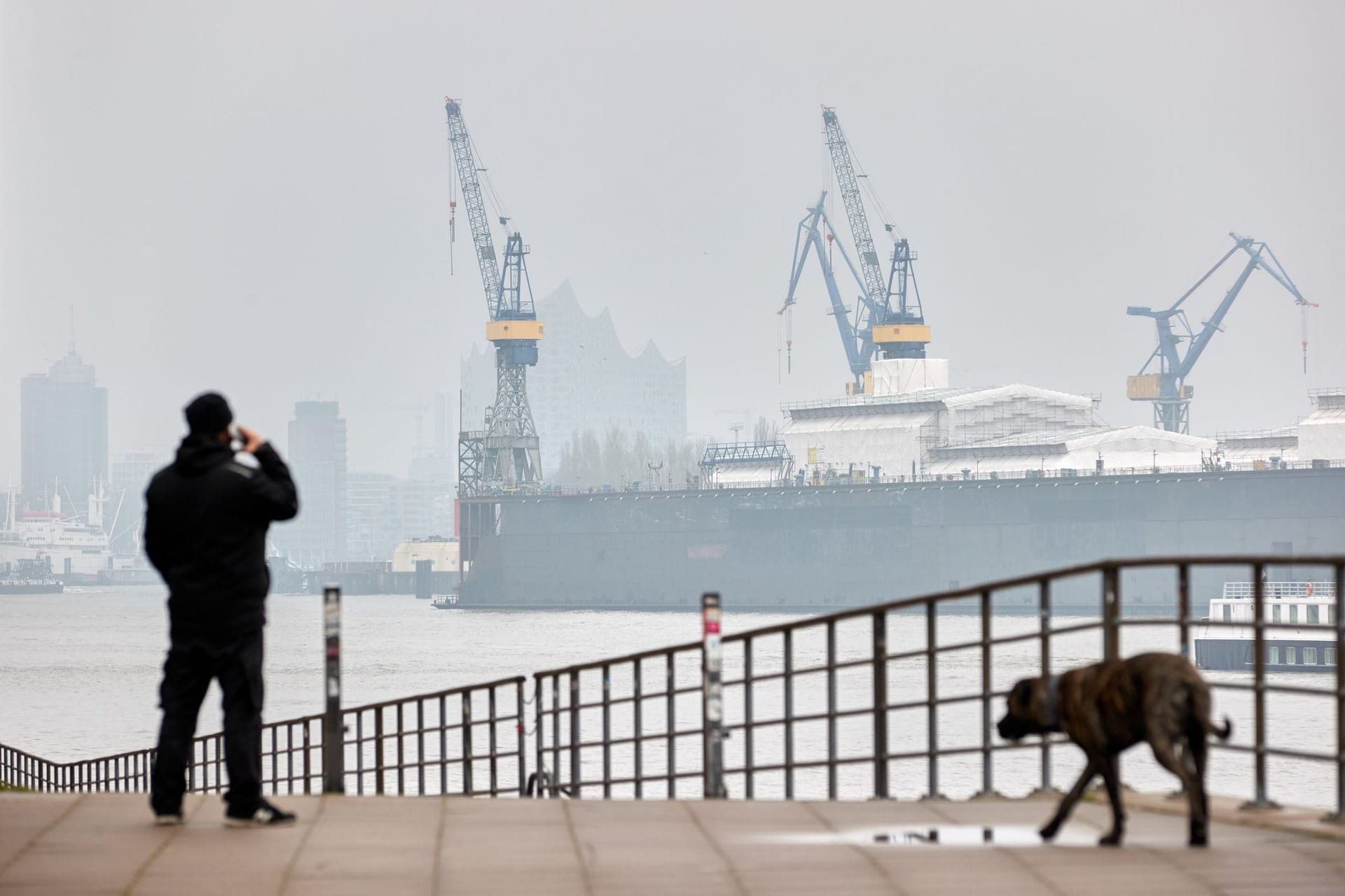 Hamburger Hafen