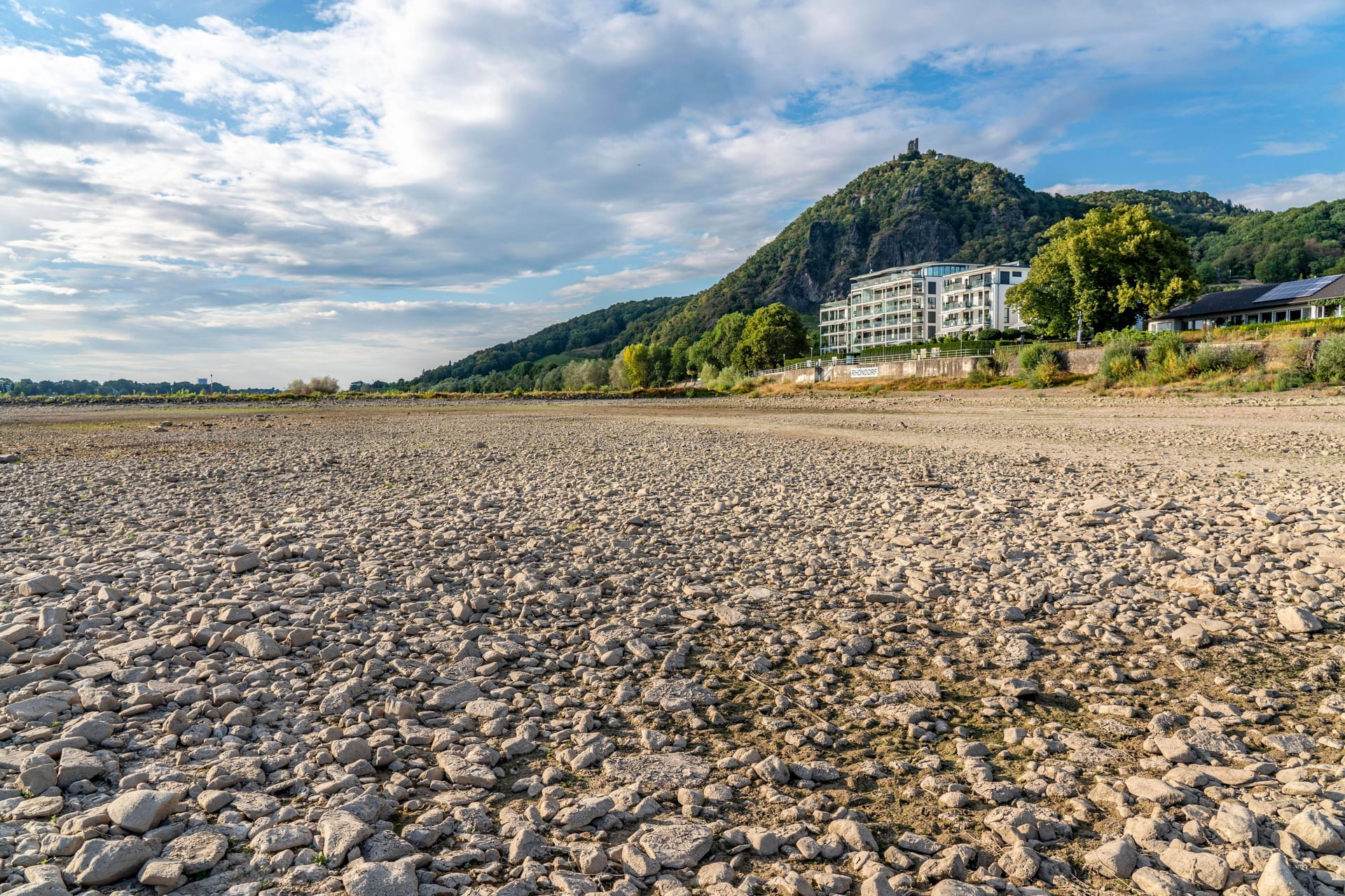 Der Rhein bei extremen Niedrigwasser (Archivbild).