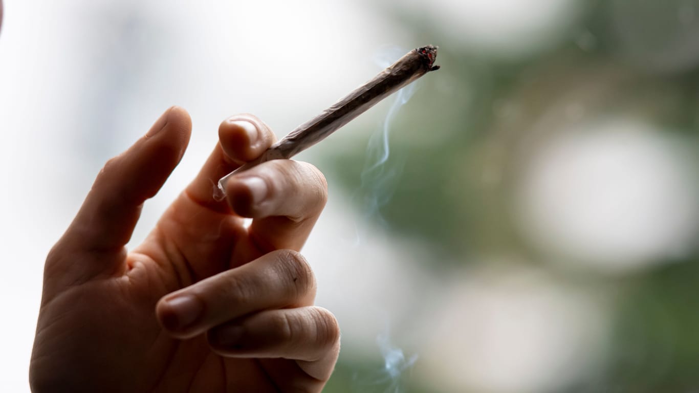 Cannabis: Die Ampel-Parteien wollen Gras mit genauen Regeln legalisieren.