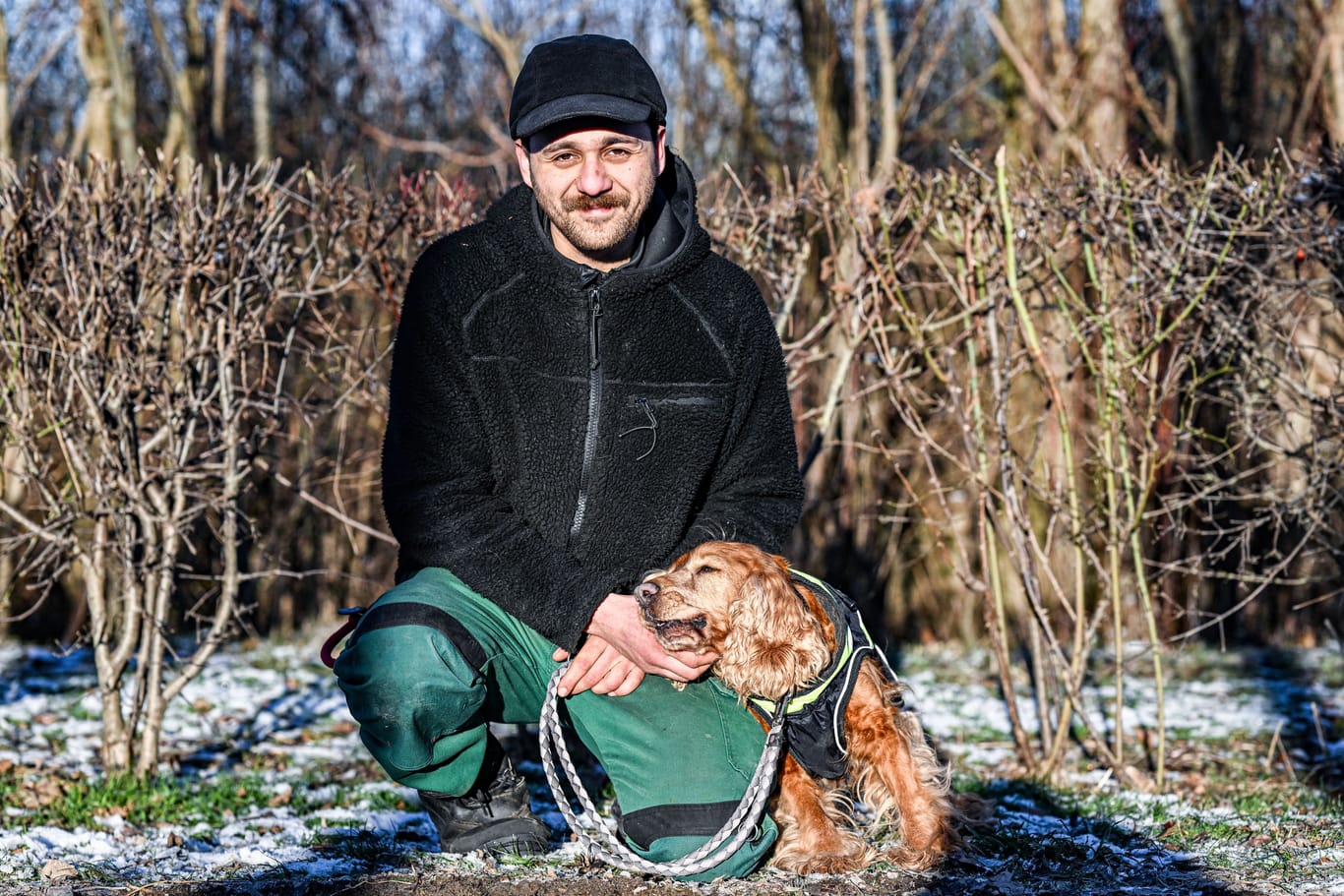 Ein Pfleger mit einem Hund im Tierheim Berlin: Betreiber des Tierheims ist der Tierschutzverein für Berlin und Umgebung Corporation e. V.