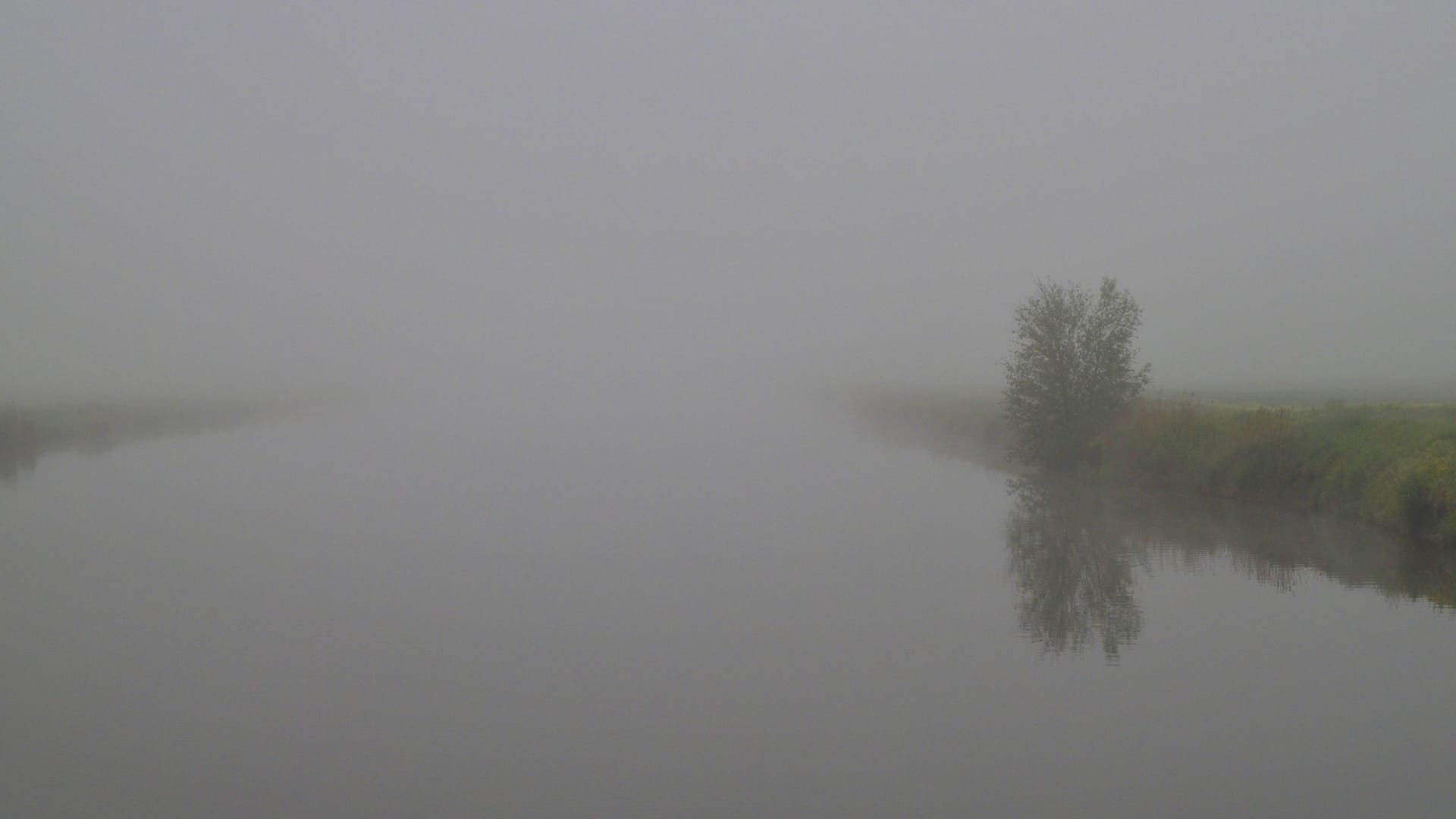 Morgennebel in Niedersachsen (Symbolbild): Die Sichtweite liegt am Montag teilweise bei unter 150 Metern.