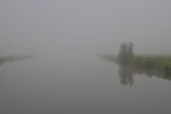Morgennebel in Niedersachsen (Symbolbild): Die Sichtweite liegt am Montag teilweise bei unter 150 Metern.