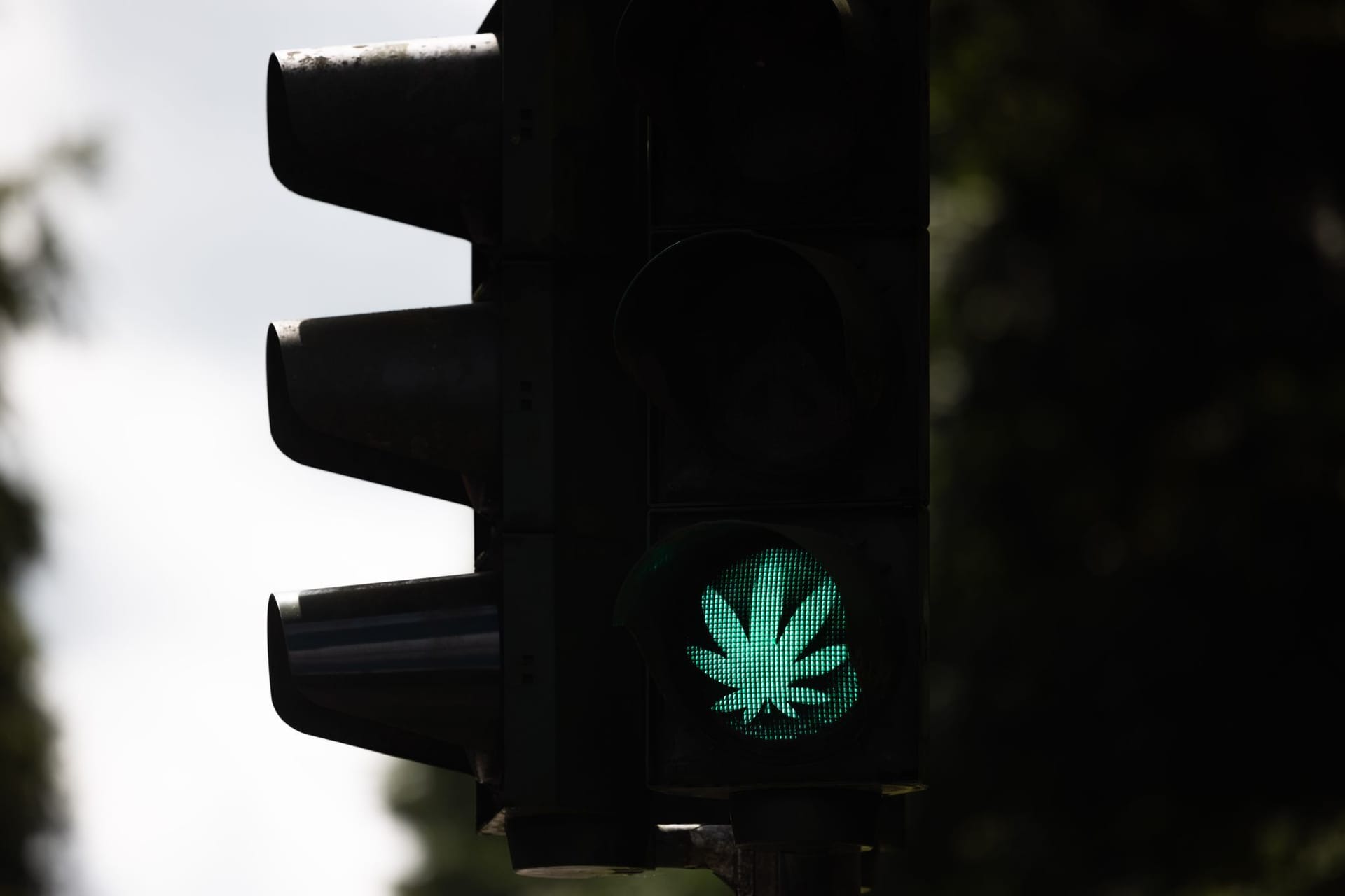 Cannabis-Blatt auf Ampel