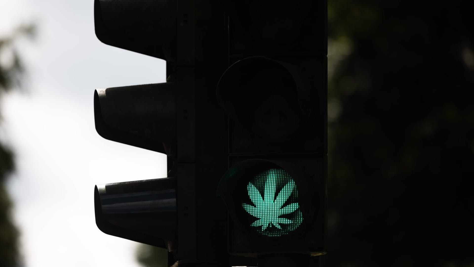 Cannabis-Blatt auf Ampel