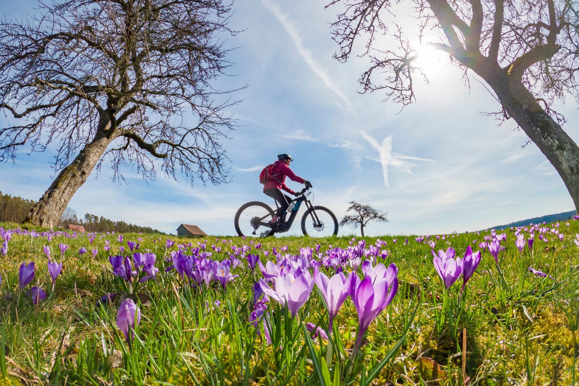 Eine Person fährt bei frühlingshaftem Wetter auf einem Fahrrad: Am Freitag wird es in Berlin ungewöhnlich warm.