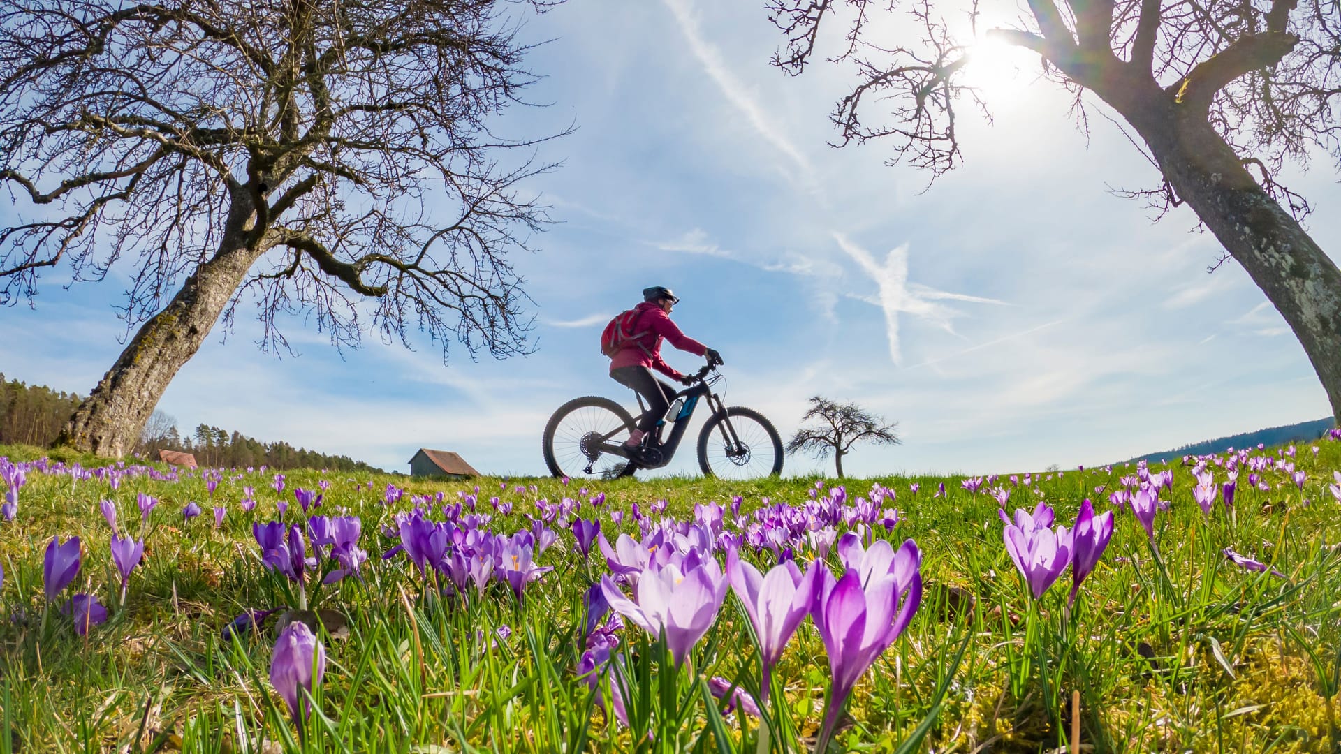 Eine Person fährt bei frühlingshaftem Wetter auf einem Fahrrad: Am Freitag wird es in Berlin ungewöhnlich warm.