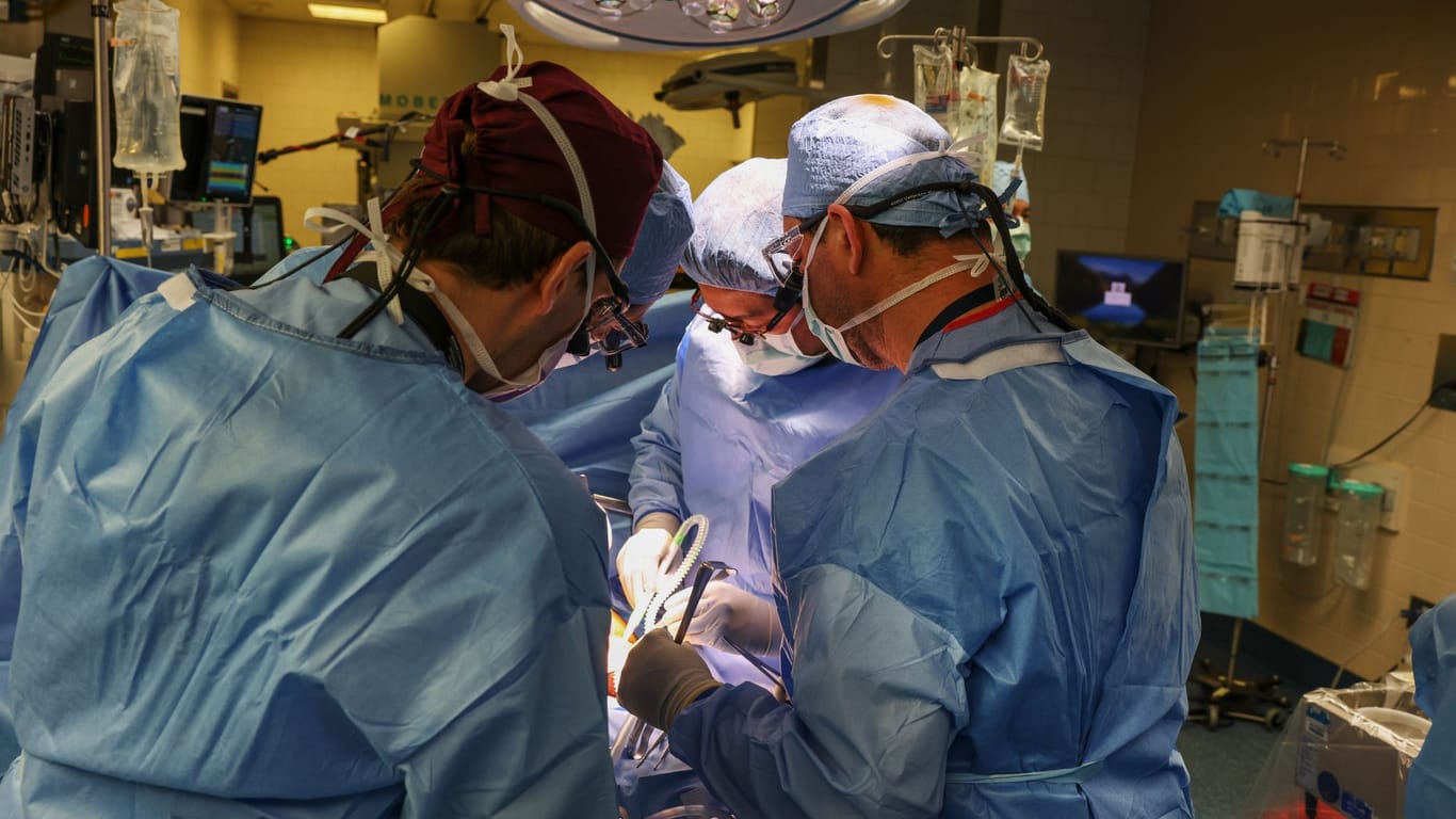 Ärzte arbeiten in einem OP-Raum bei der Transplantation einer Schweineniere im Massachusetts General Hospital. Erstmals weltweit ist Medizinern zufolge einem Menschen erfolgreich eine Schweineniere als Ersatzorgan eingesetzt worden.