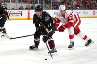 Arizona Coyotes - Detroit Red Wings