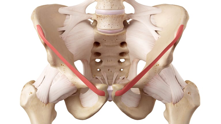 Schwellung In Der Leiste Ohne Schmerzen www.t-online.de