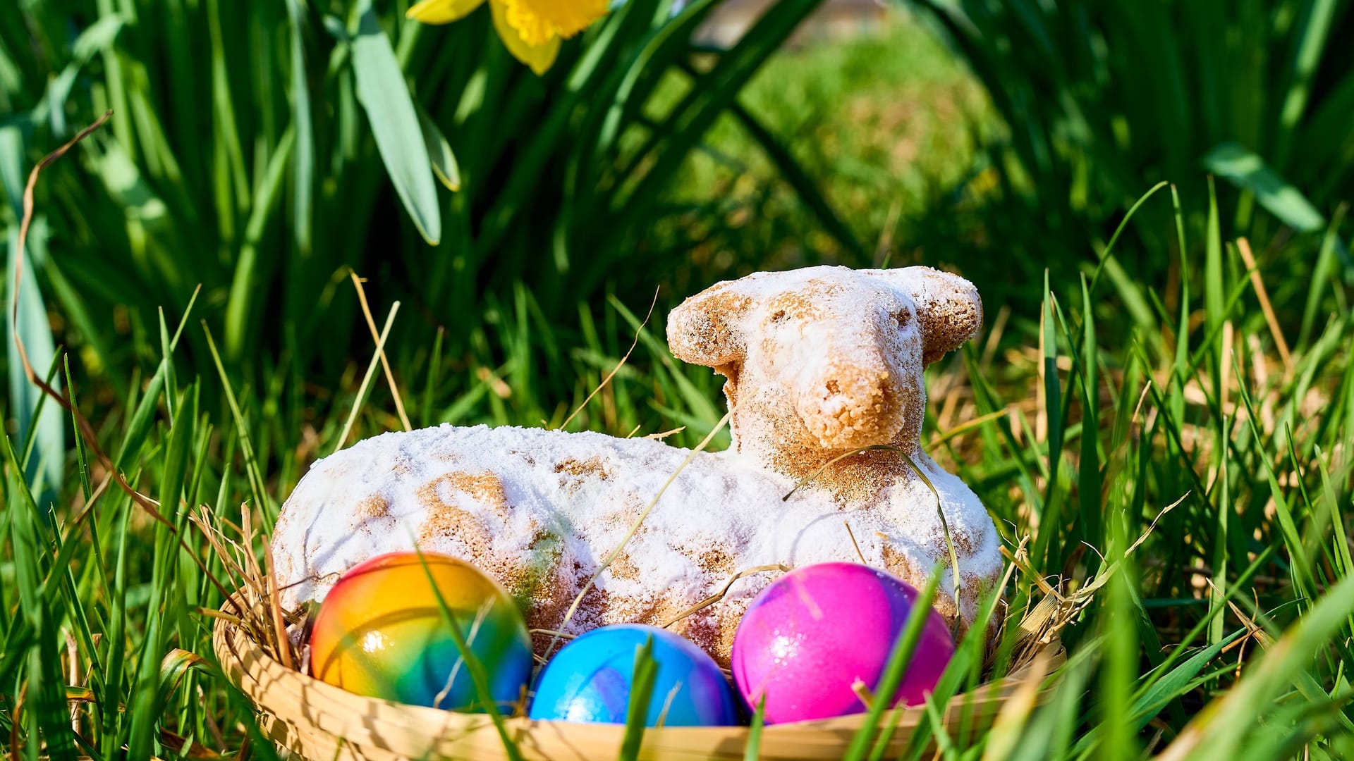 Ein Osterlamm-Kuchen in seiner natürlichen Umgebung: Auch dieses Lamm symbolisiert Jesus als "Lamm Gottes".