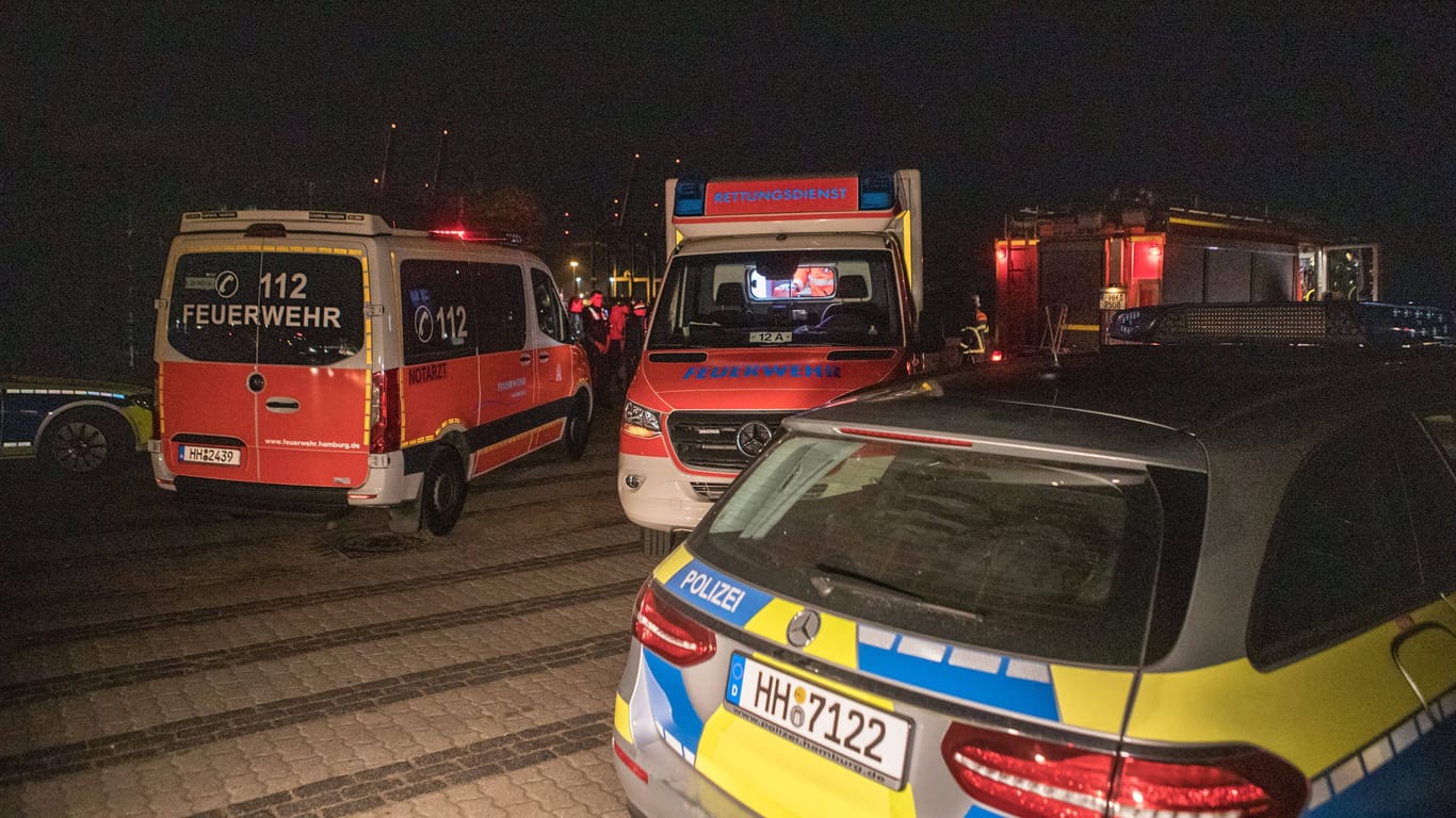 Feuerwehr, Rettungswagen und Polizei am Elbstrand (Archivbild): Ein Notarzt konnte nur noch den Tod des Mannes feststellen.
