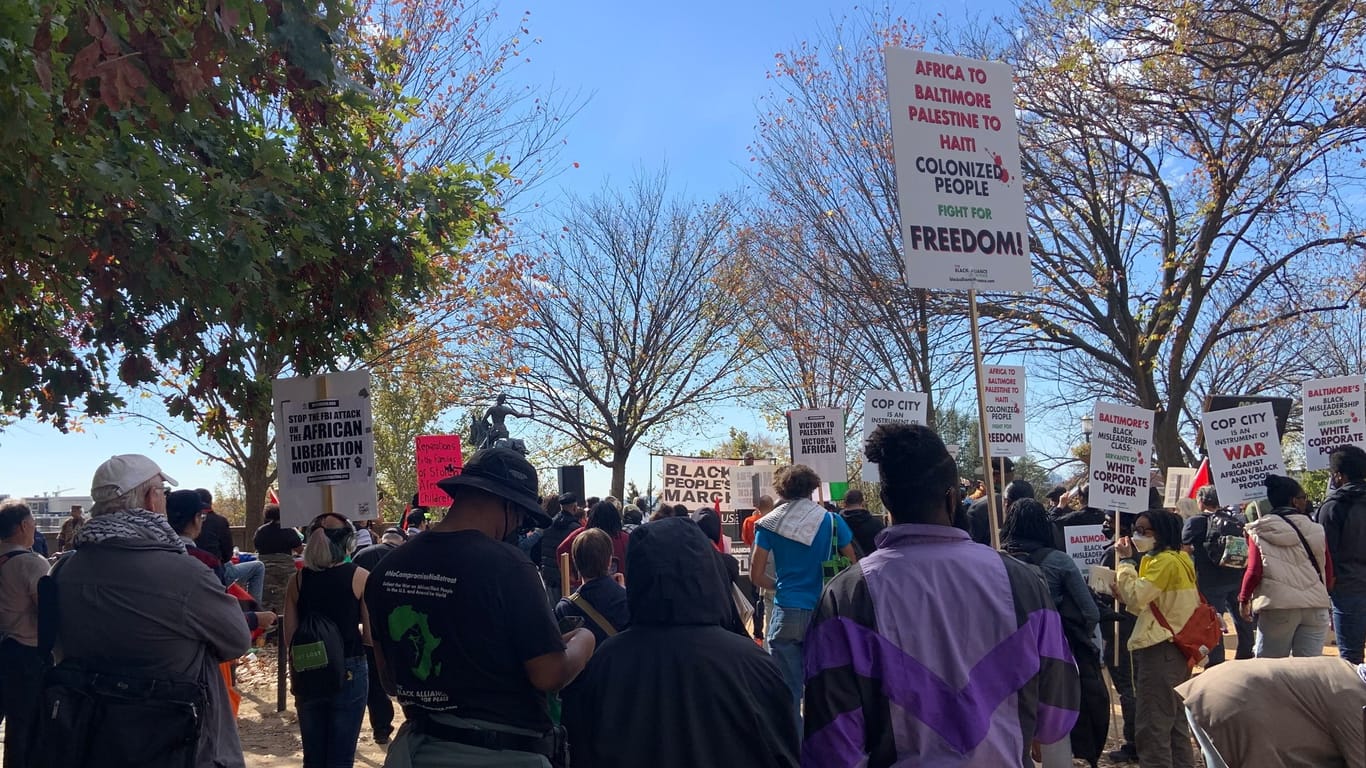 Erklärte Solidarität mit den Palästinensern: Schwarze Amerikaner beim Protest in Washington.