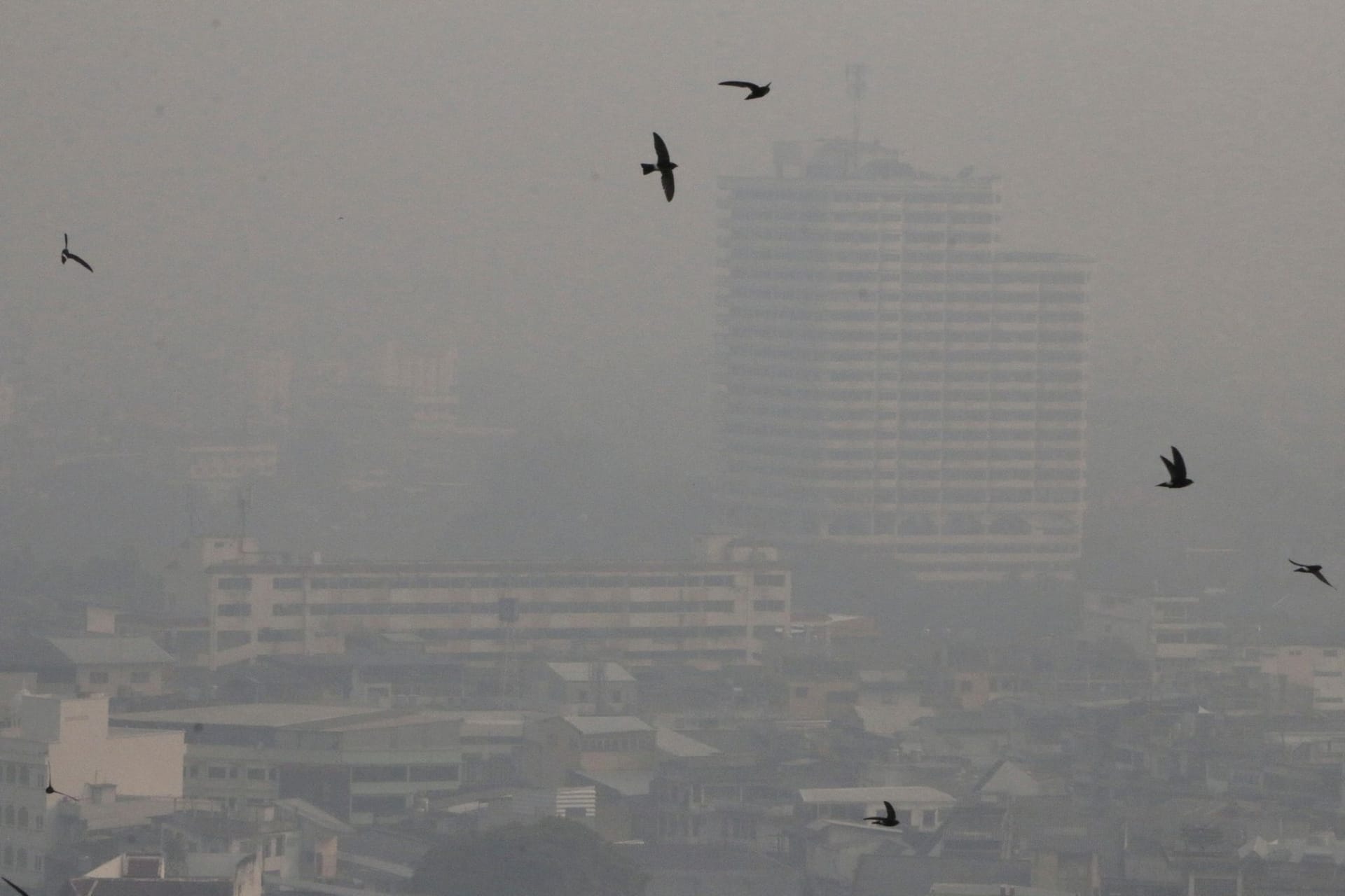 Smog in Thailand