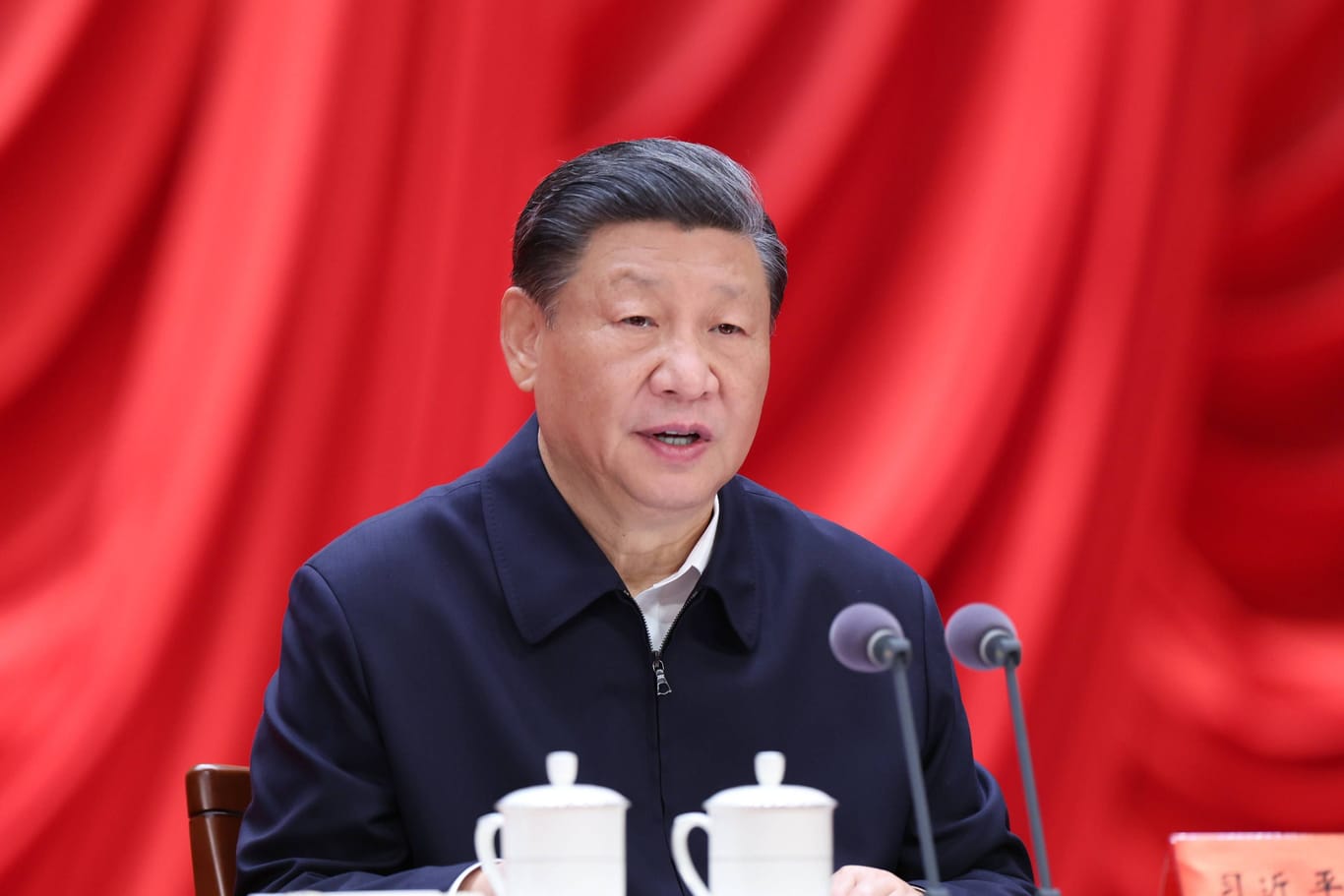 Xi Jinping: Für Europa bietet sich gerade einen Chance im Umgang mit China, sagt Expertin Janka Oertel.