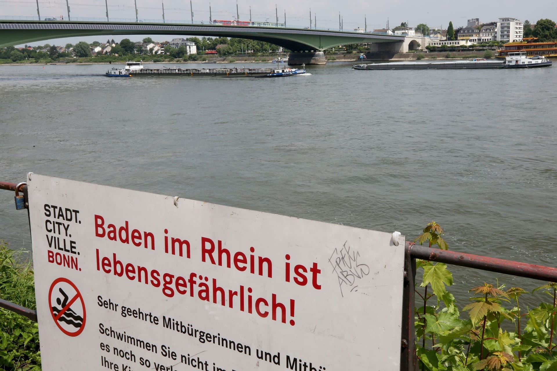 Schilder mit "Baden im Rhein ist lebensgefährlich"