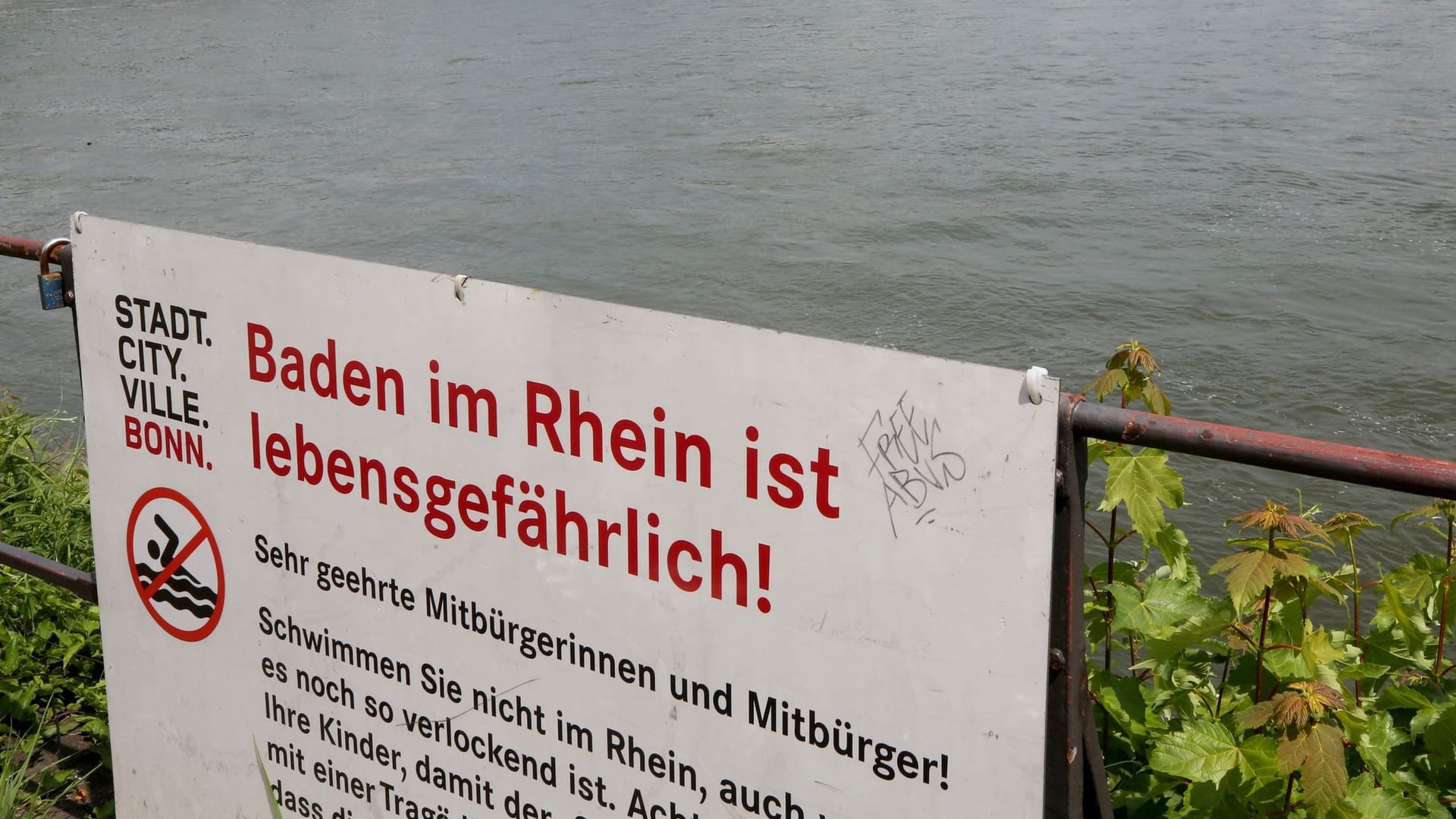 Schilder mit "Baden im Rhein ist lebensgefährlich"