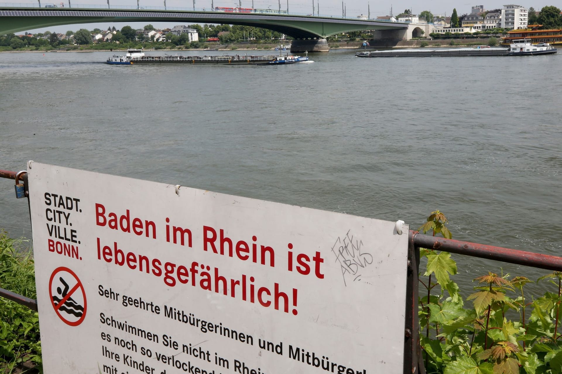 Schilder mit "Baden im Rhein ist lebensgefährlich"