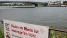 Schilder mit "Baden im Rhein ist lebensgefährlich"