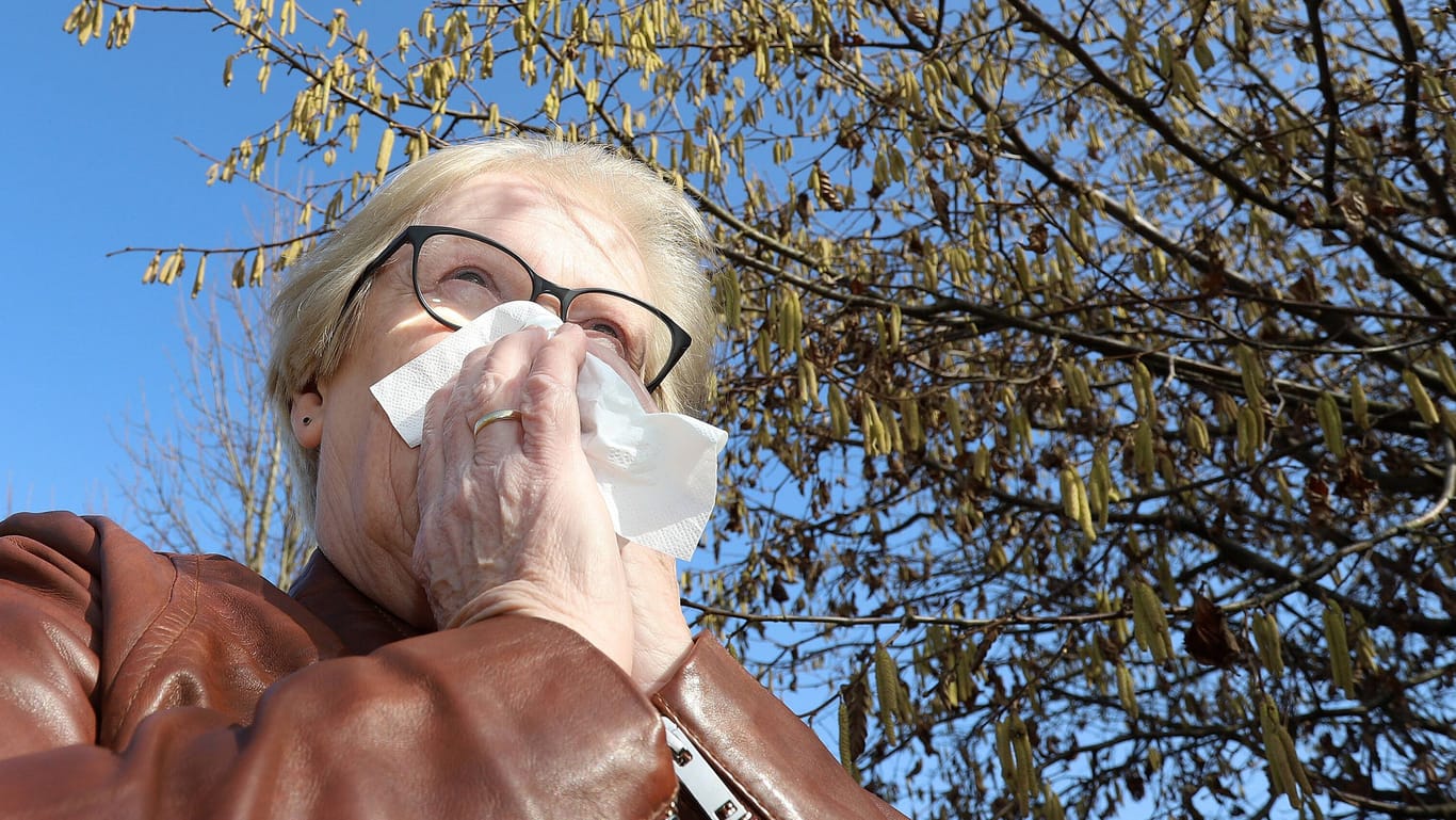 Eine Frau putzt sich die Nase wegen Pollen (Archivbild): In NRW müssen sich Allergiker wieder wappnen.