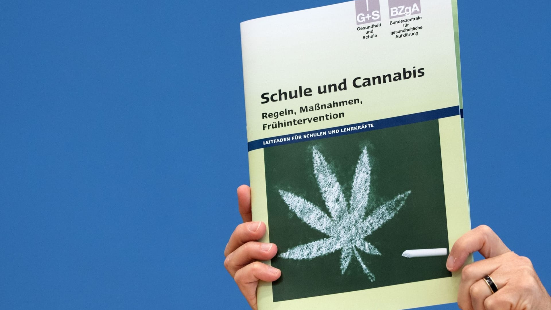 Cannabis Cannabis