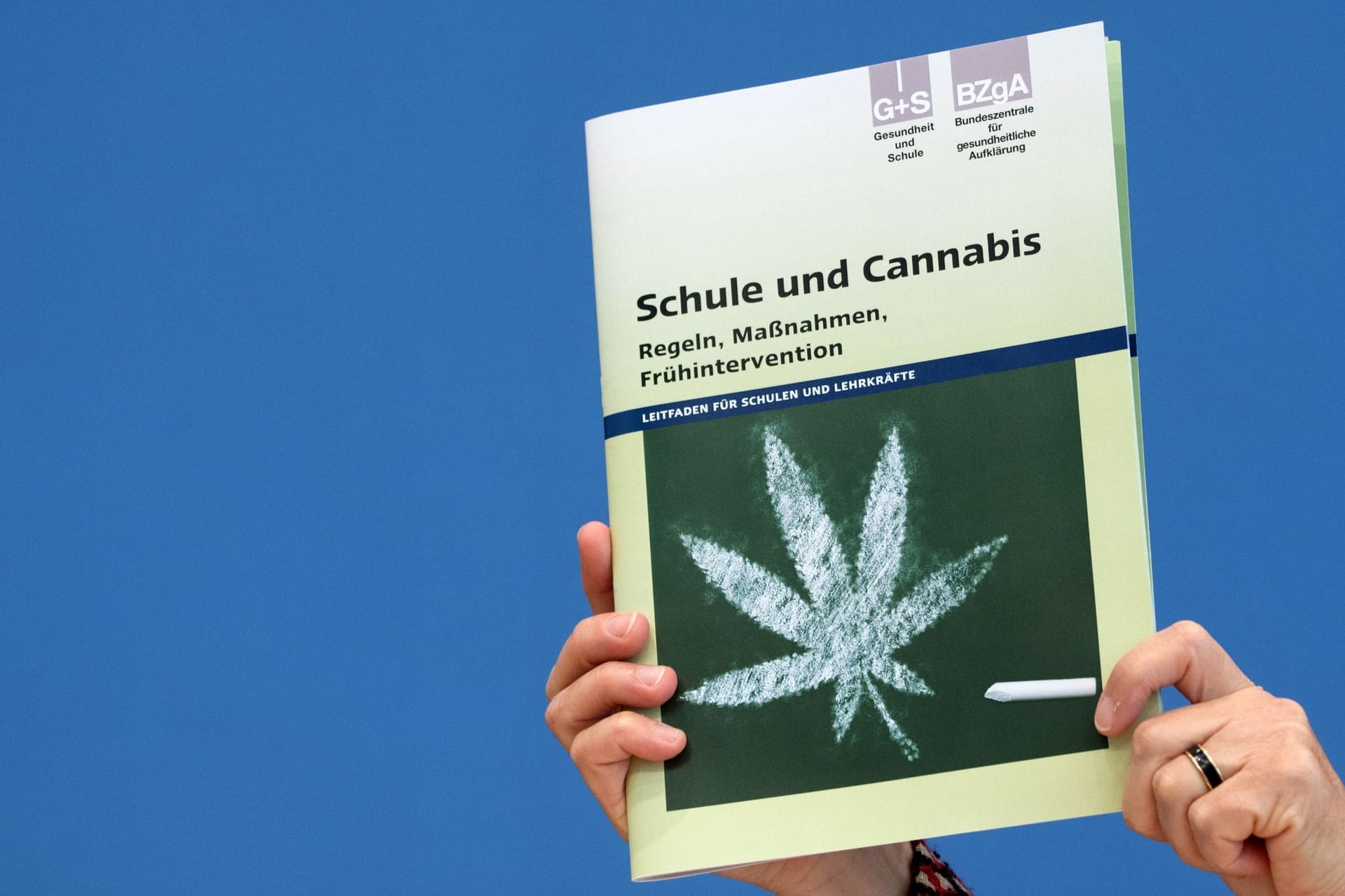 Cannabis