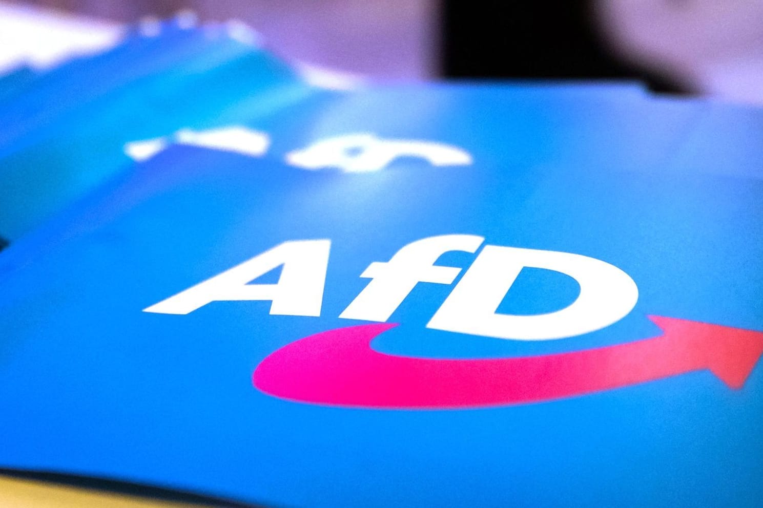 Fahne mit AfD-Logo