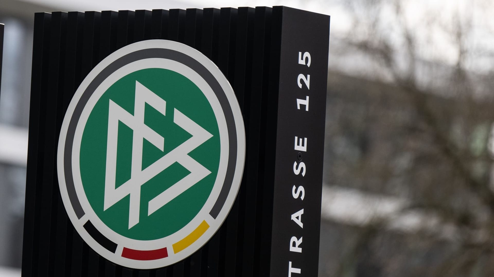 DFB-Logo