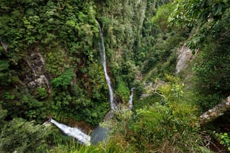 Wasserfall im Lamington National Park in Queensland, Australien: Eine junge Frau stürzte zu Tode.