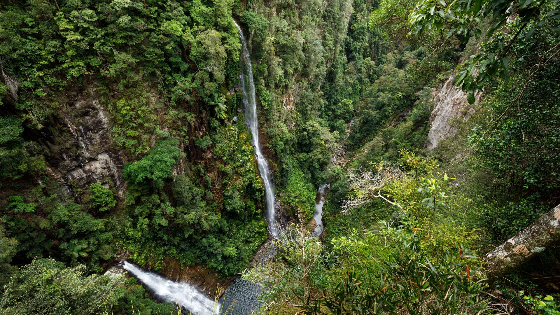 Wasserfall im Lamington National Park in Queensland, Australien: Eine junge Frau stürzte zu Tode.