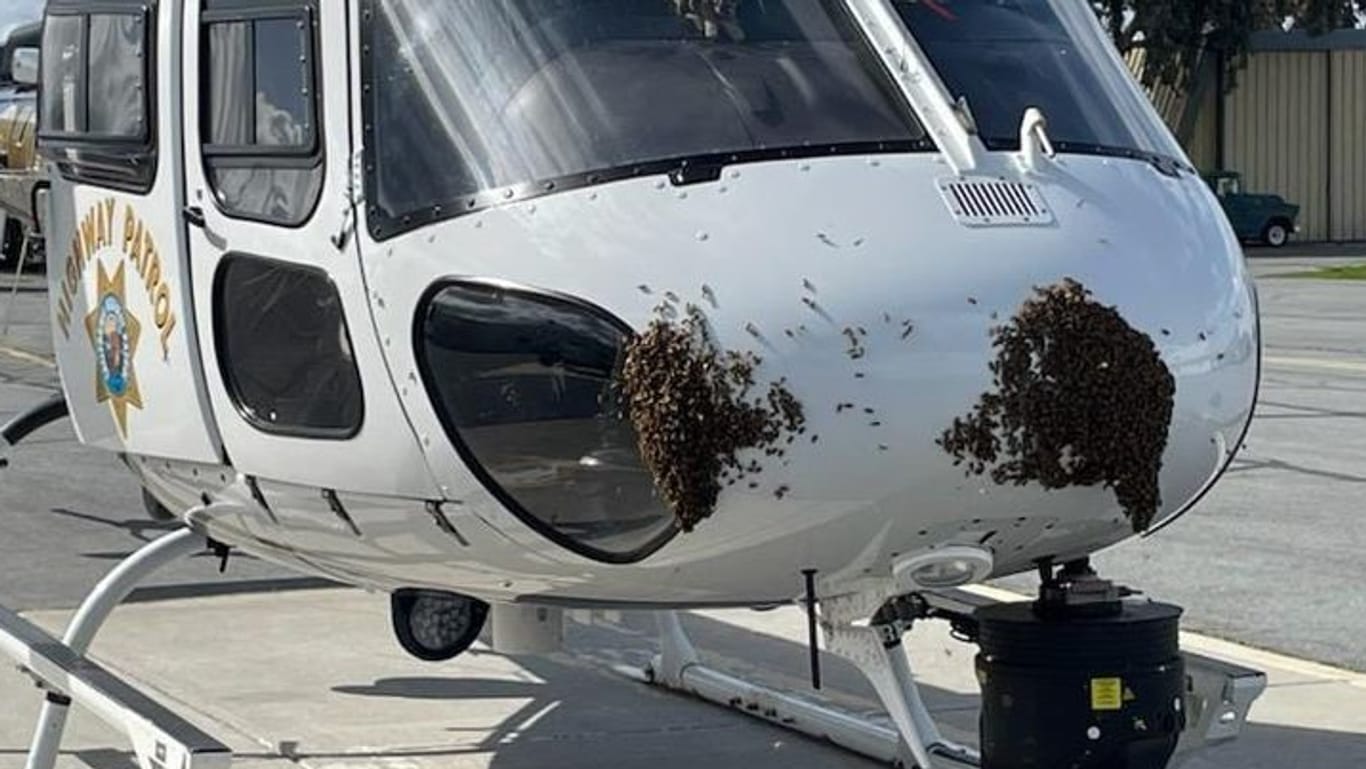 Der von Bienen belagerte Hubschrauber: Die California Highway Patrol postete die Fotos auf ihrem X-Kanal.