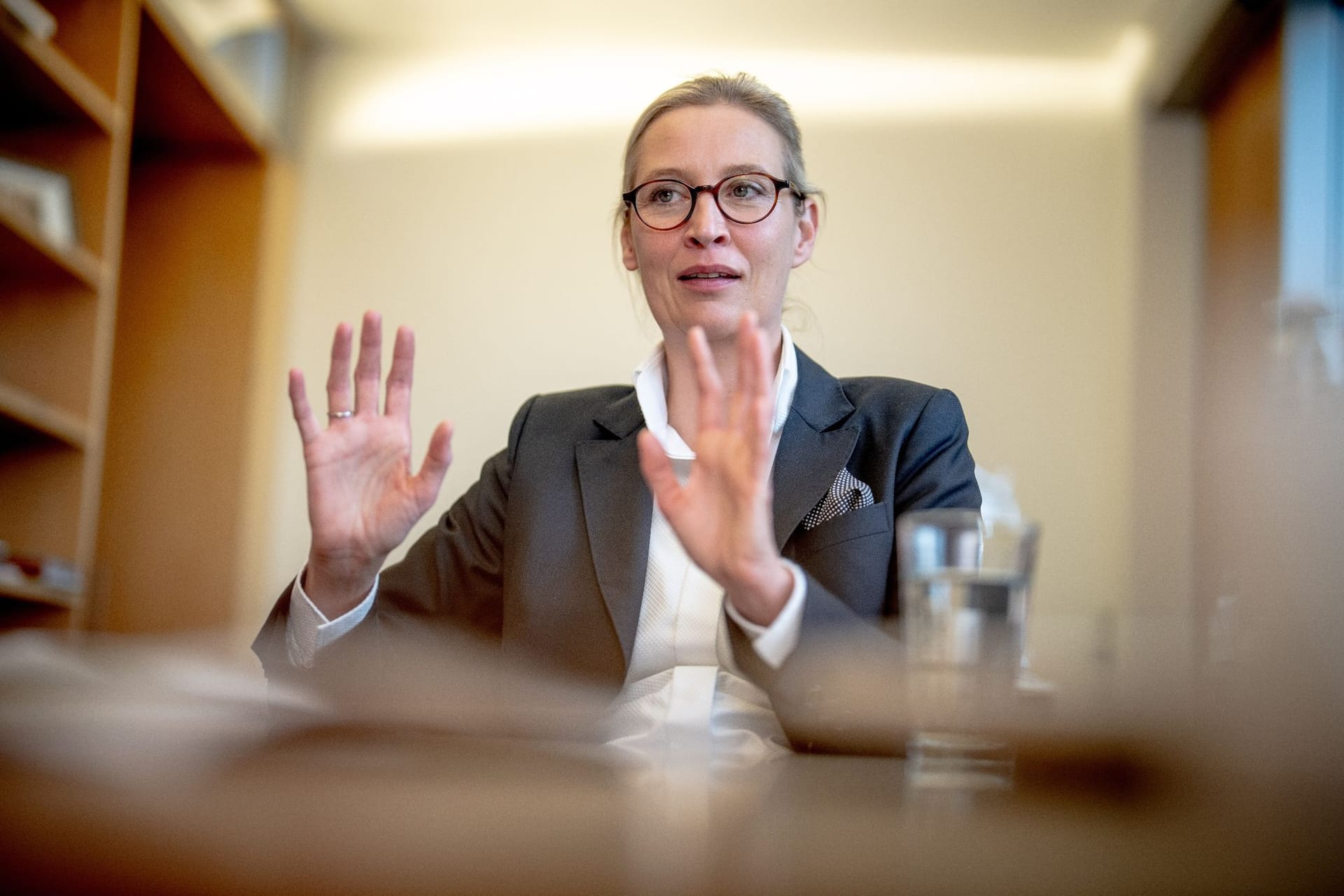 Alice Weidel