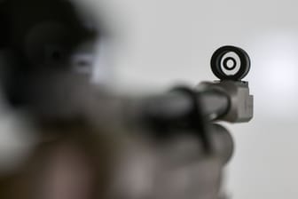 Luftdruckgewehr (Symbolbild): Mit einer solchen Waffe könnte der Täter geschossen haben.