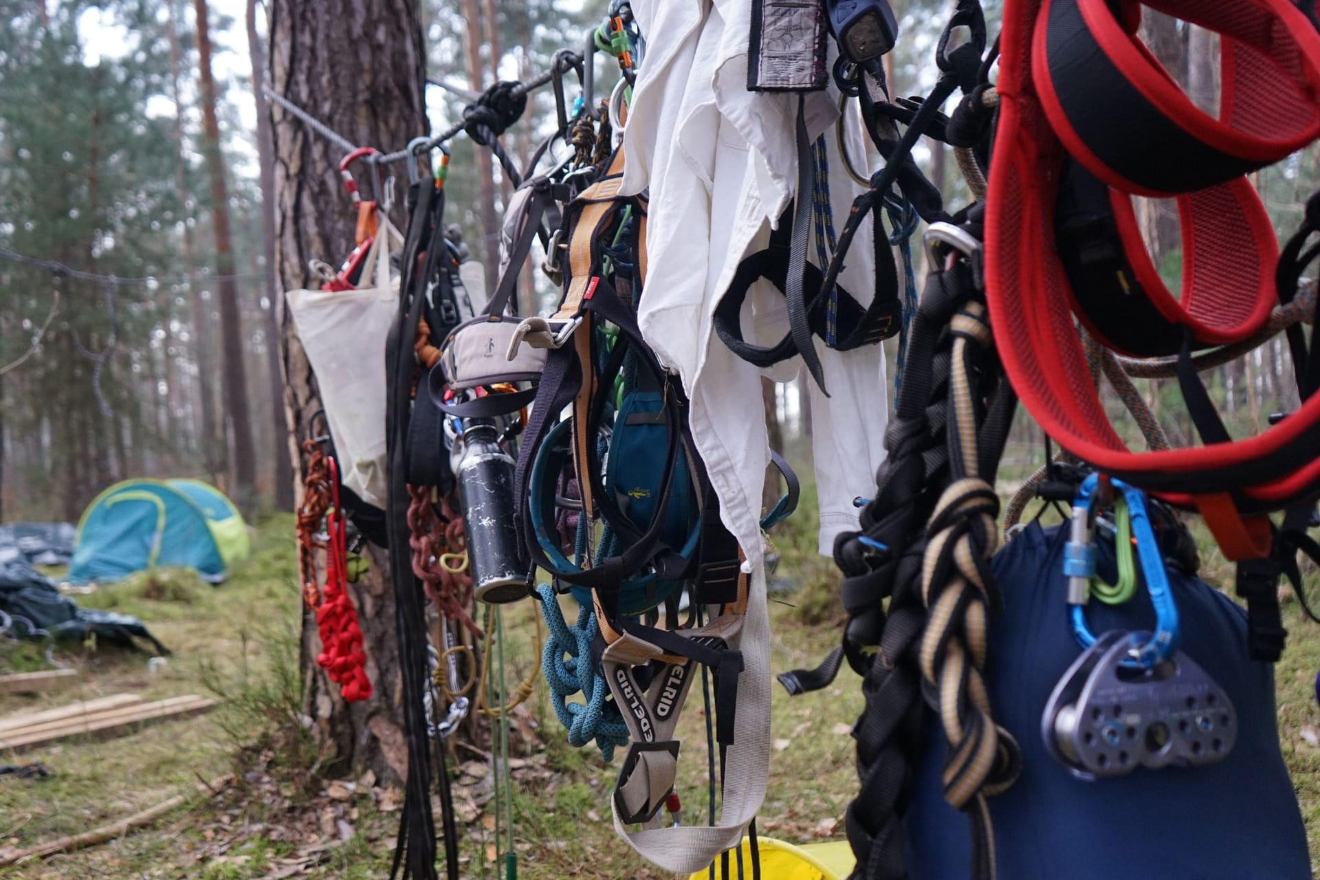 Klettergurte gehören in der Waldbesetzung bei Berlin zur Standardausrüstung der Aktivisten.