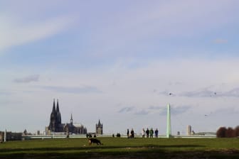 Spaziergänger auf den Rheinwiesen (Archivbild): Die Domstadt verzeichnete im Jahr 2022 einen Zuwachs bei den Einwohnerzahlen.