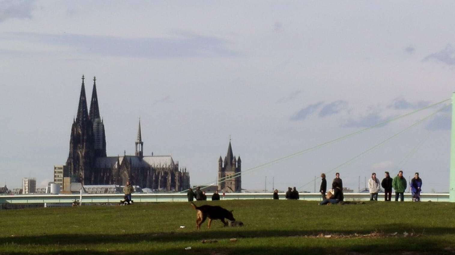 Spaziergänger auf den Rheinwiesen (Archivbild): Die Domstadt verzeichnete im Jahr 2022 einen Zuwachs bei den Einwohnerzahlen.